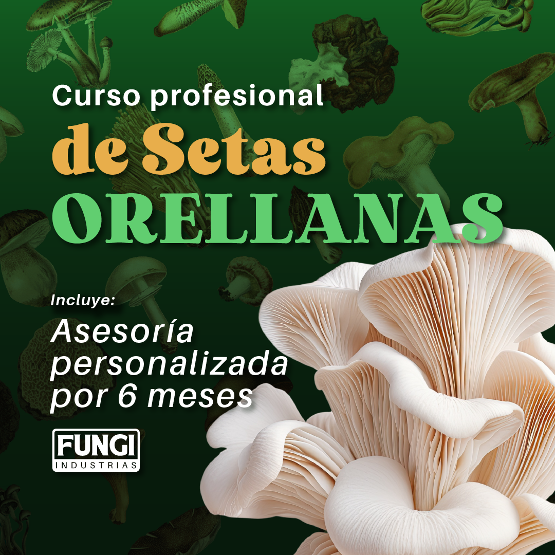Protegido: Curso profesional de produccion de orellanas