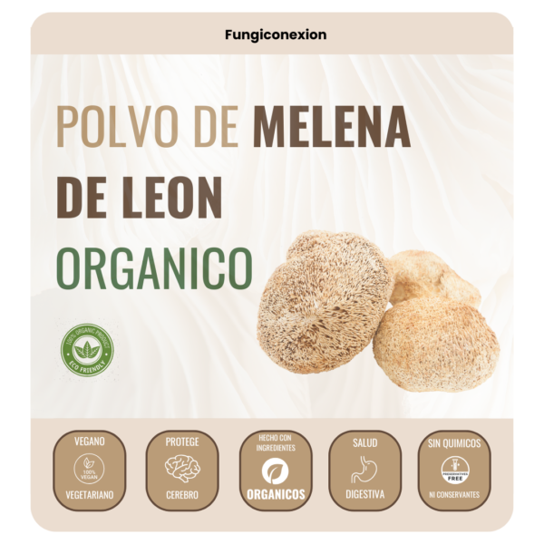 Melena de leon seco en polvo organico 100% cuerpo fructifero deshidratado