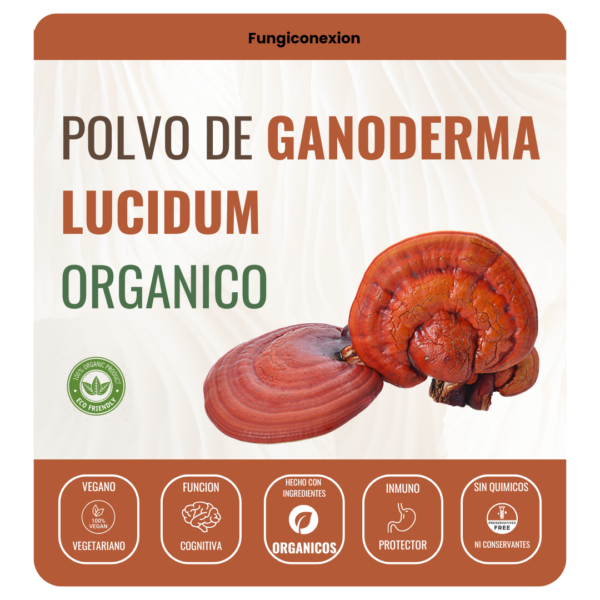 Ganoderma Lucidum seco en polvo organico 100% cuerpo fructifero deshidratado.