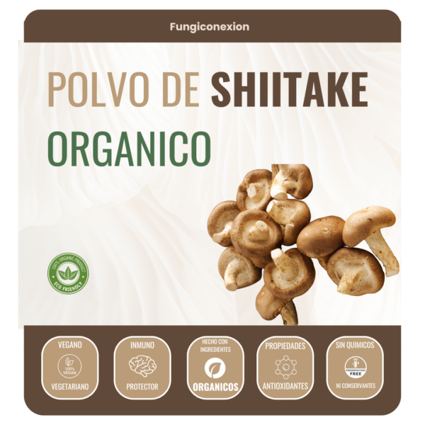 shiitake seco en polvo organico 100% cuerpo fructifero deshidratado.